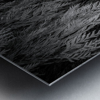 2308210 :: Brushed Metal Print