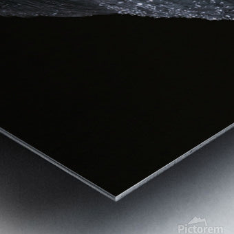 2460568 :: Brushed Metal Print