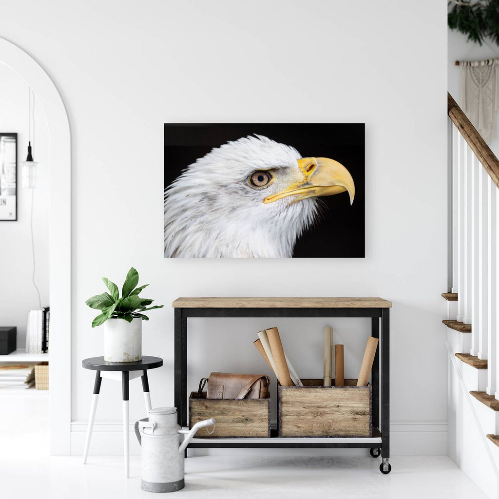 1926991 :: Giclée Stretched Canvas Print