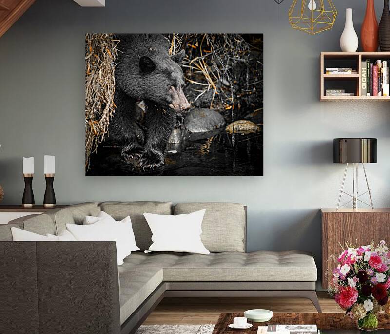 1927019 :: Giclée Stretched Canvas Print