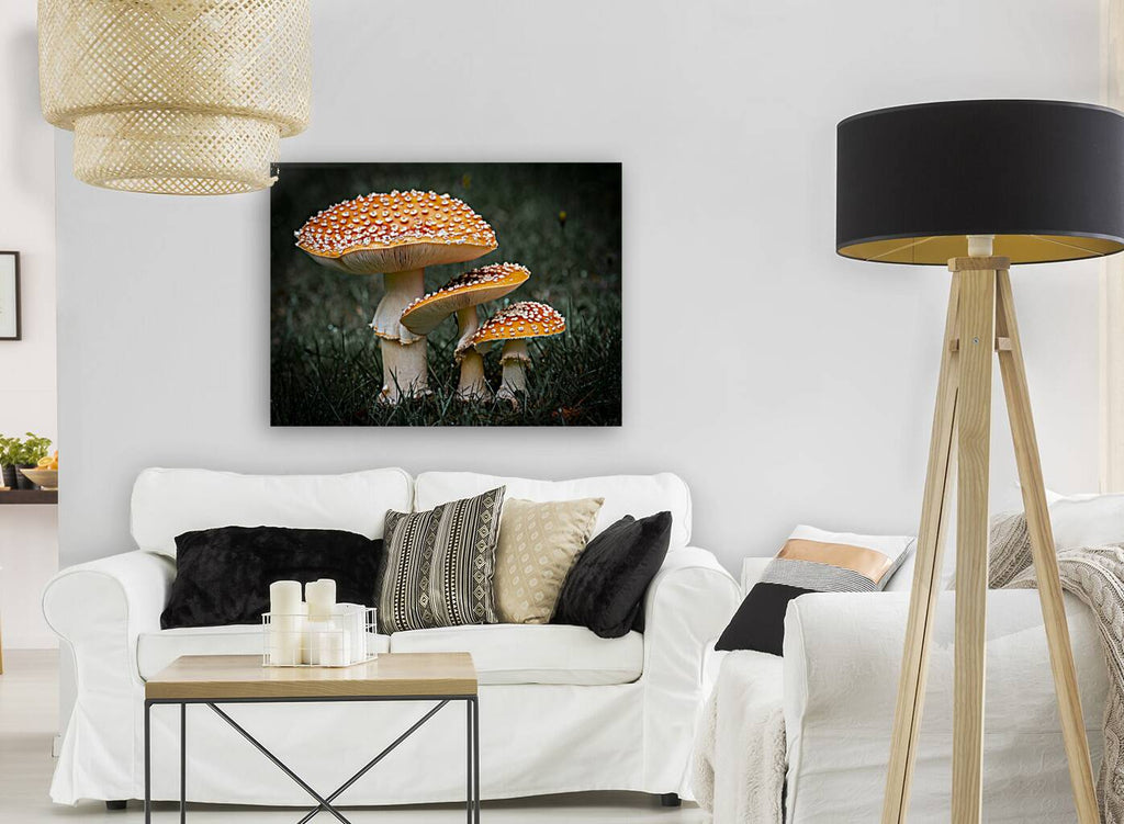 1927319 :: Giclée Stretched Canvas Print