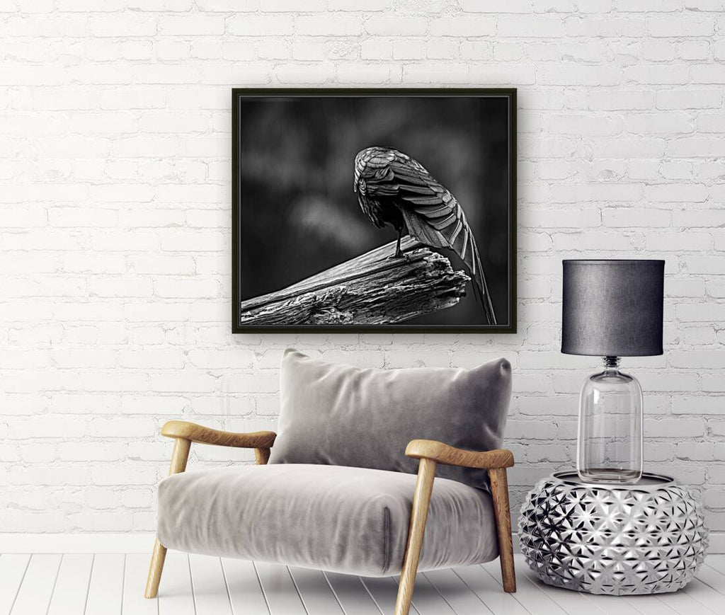 2162499 :: Giclée Stretched Canvas Print