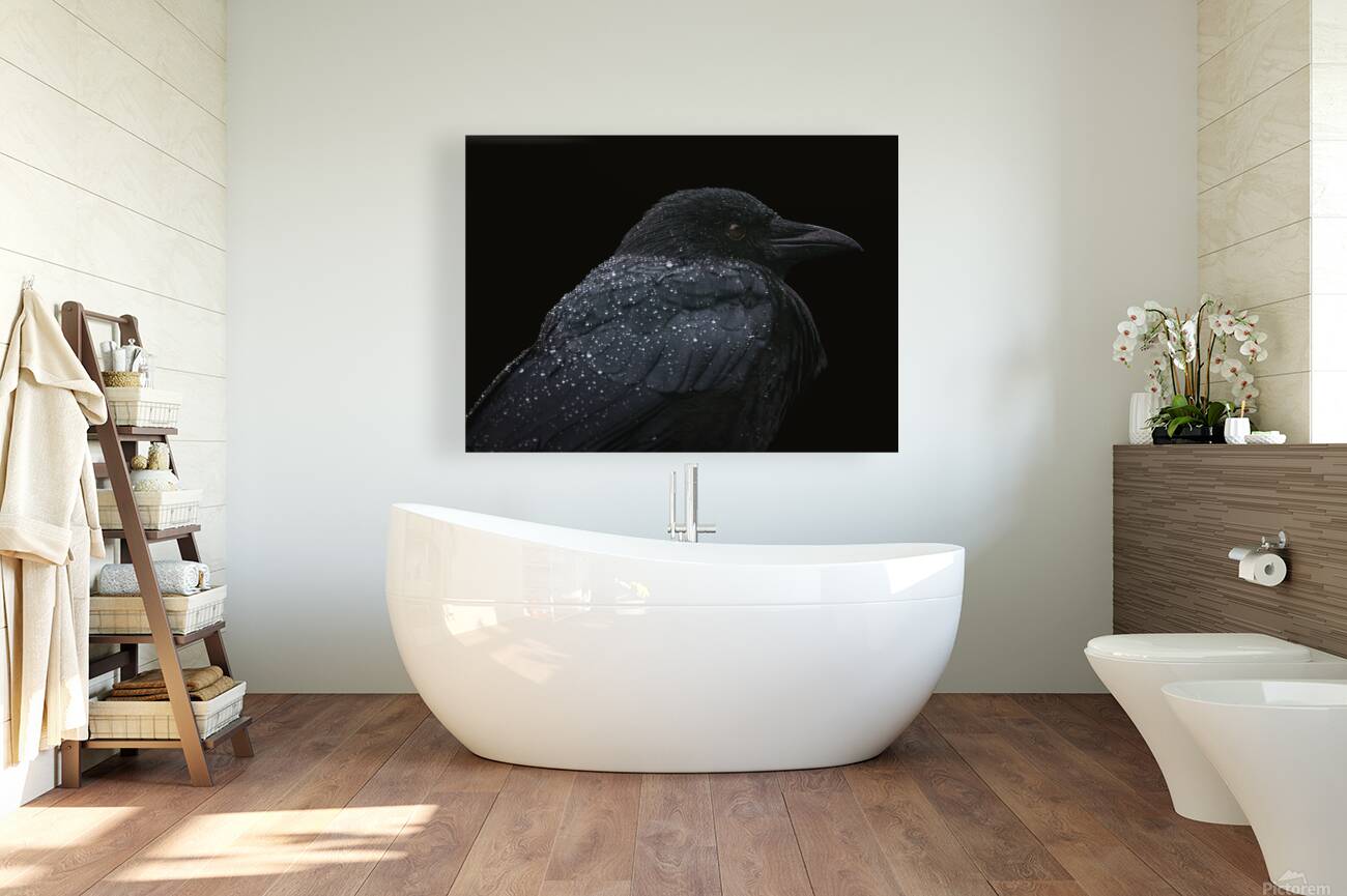 2460568 :: Giclée Stretched Canvas Print