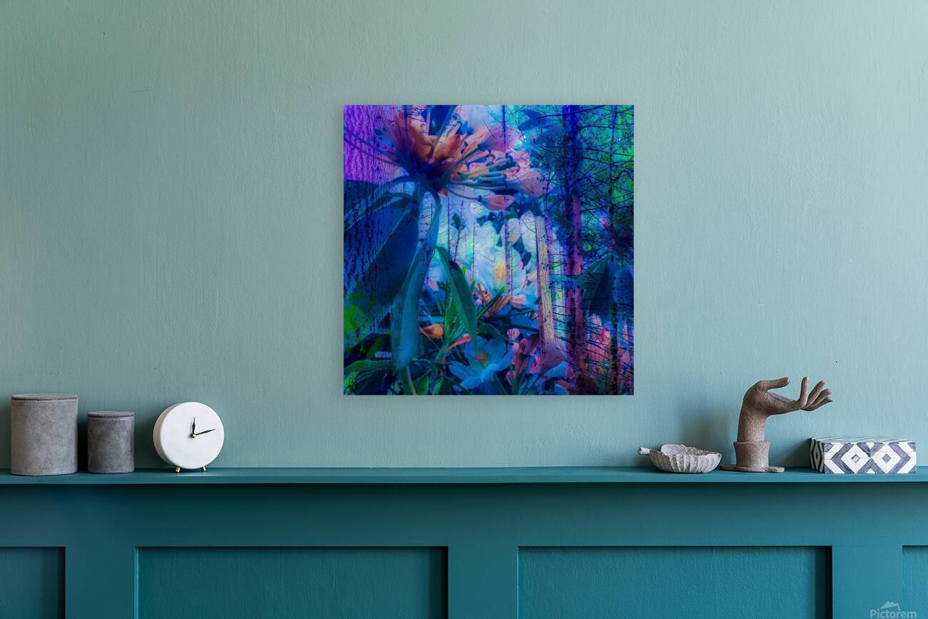 2496057 :: Giclée Stretched Canvas Print