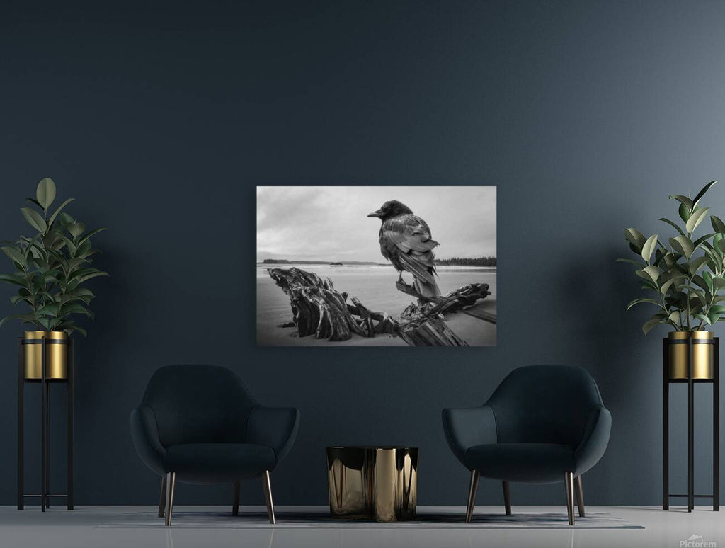 2496601 :: Giclée Stretched Canvas Print