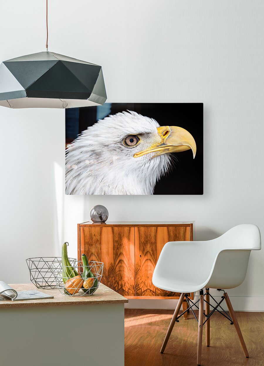 1926991 :: HD Sublimation Metal Print