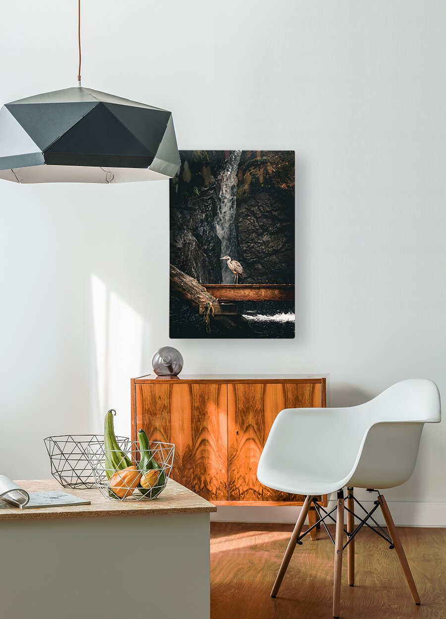 1927011 :: HD Sublimation Metal Print