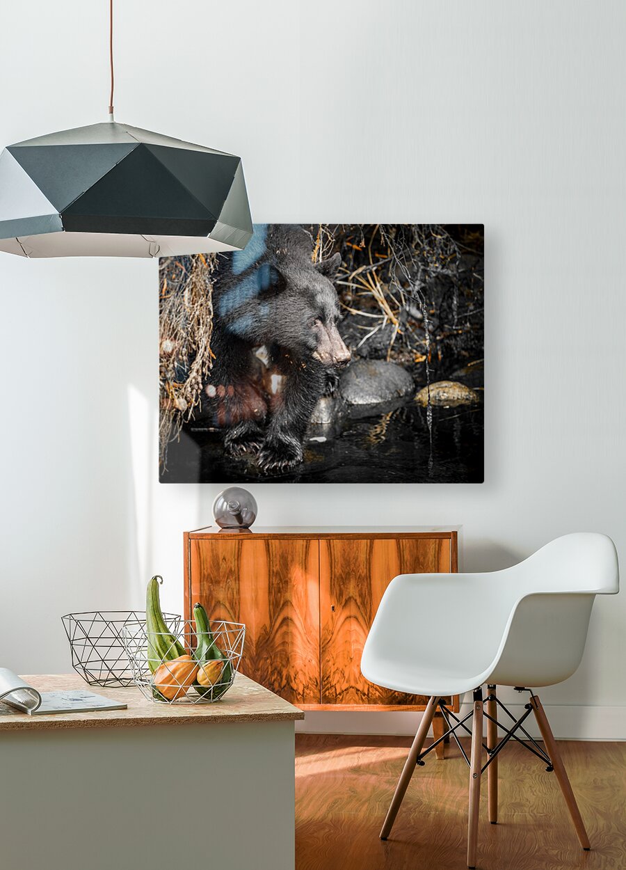 1927019 :: HD Sublimation Metal Print