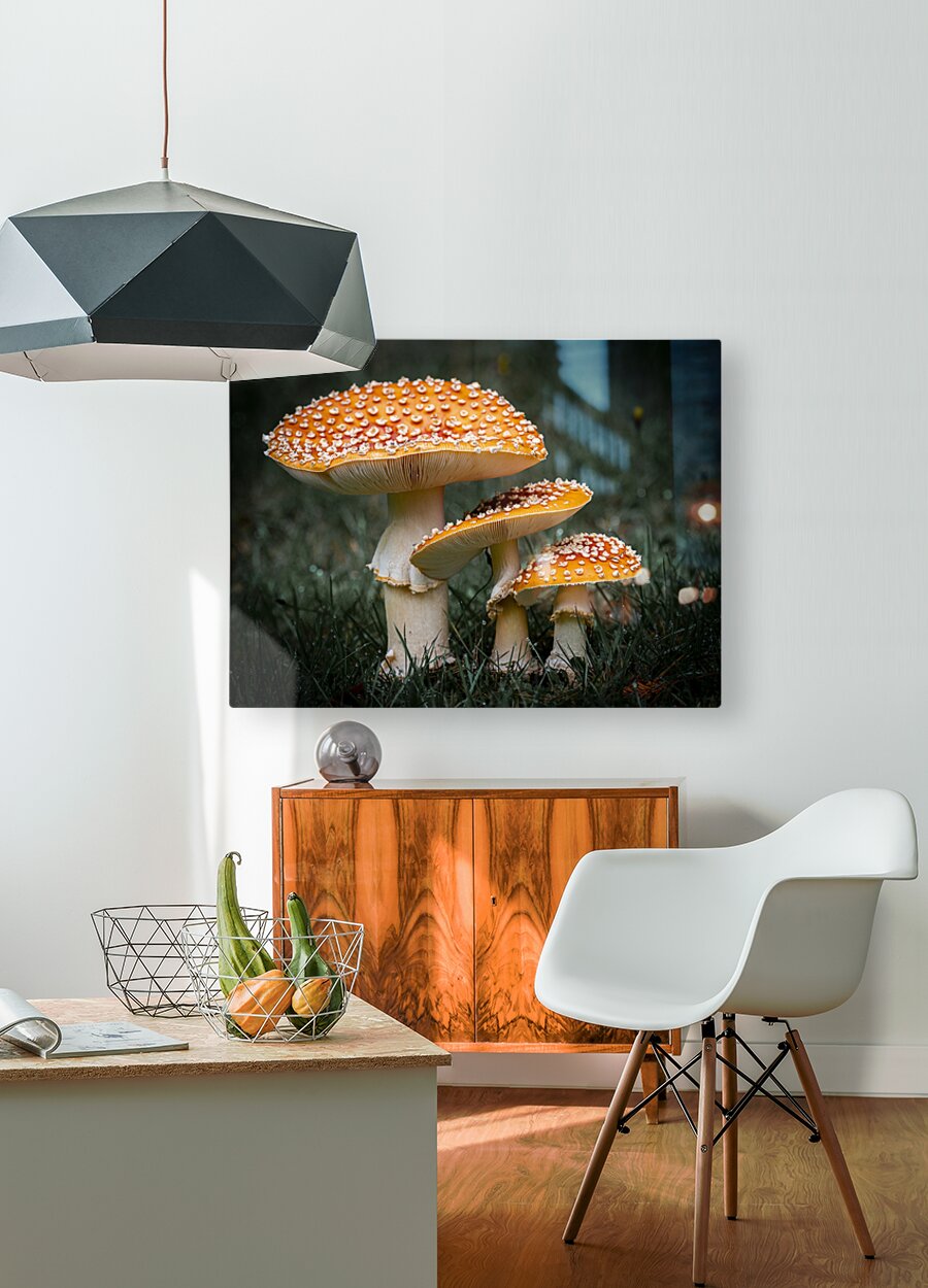 1927319 :: HD Sublimation Metal Print