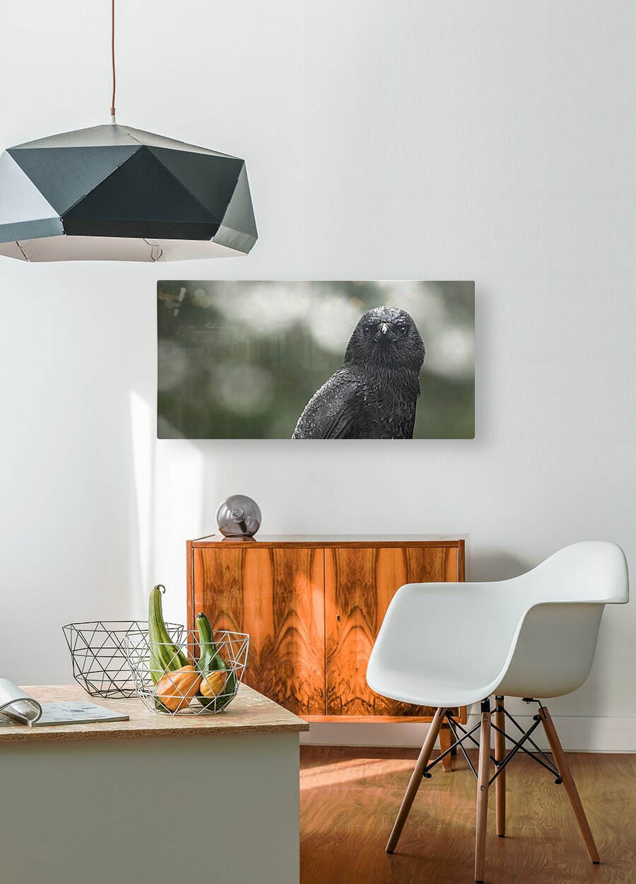 1927323 :: HD Sublimation Metal Print