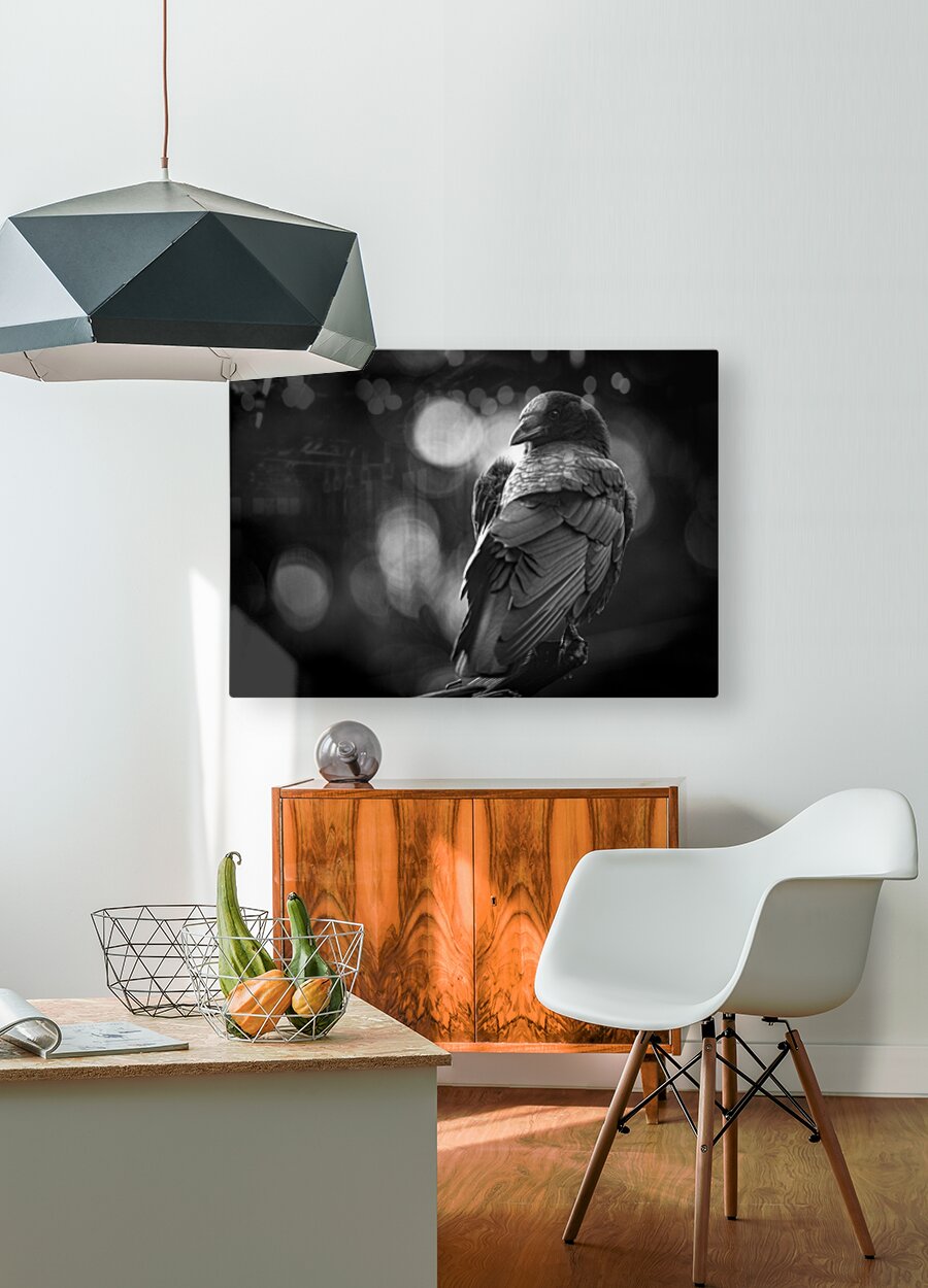 2154001 :: HD Sublimation Metal Print