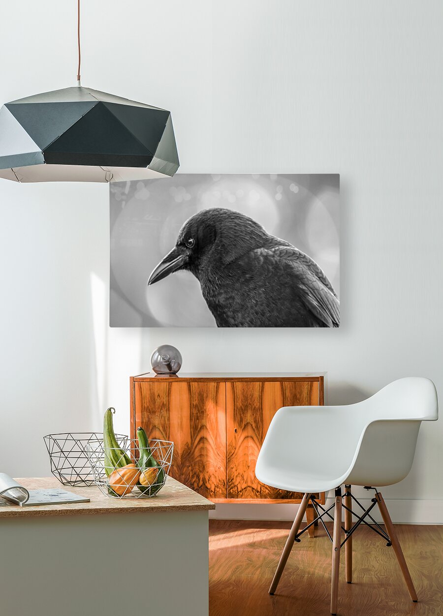 2162485 :: HD Sublimation Metal Print