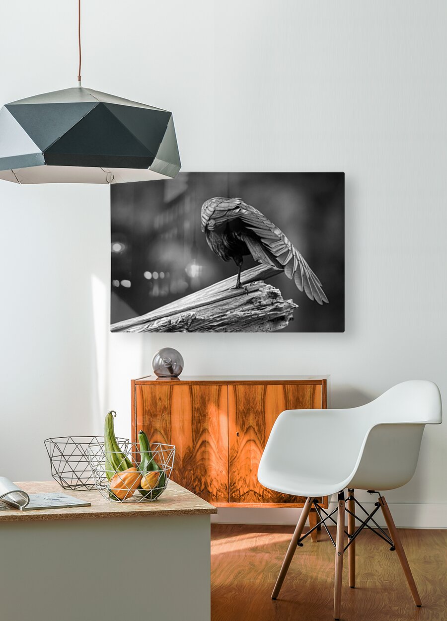 2162492 :: HD Sublimation Metal Print