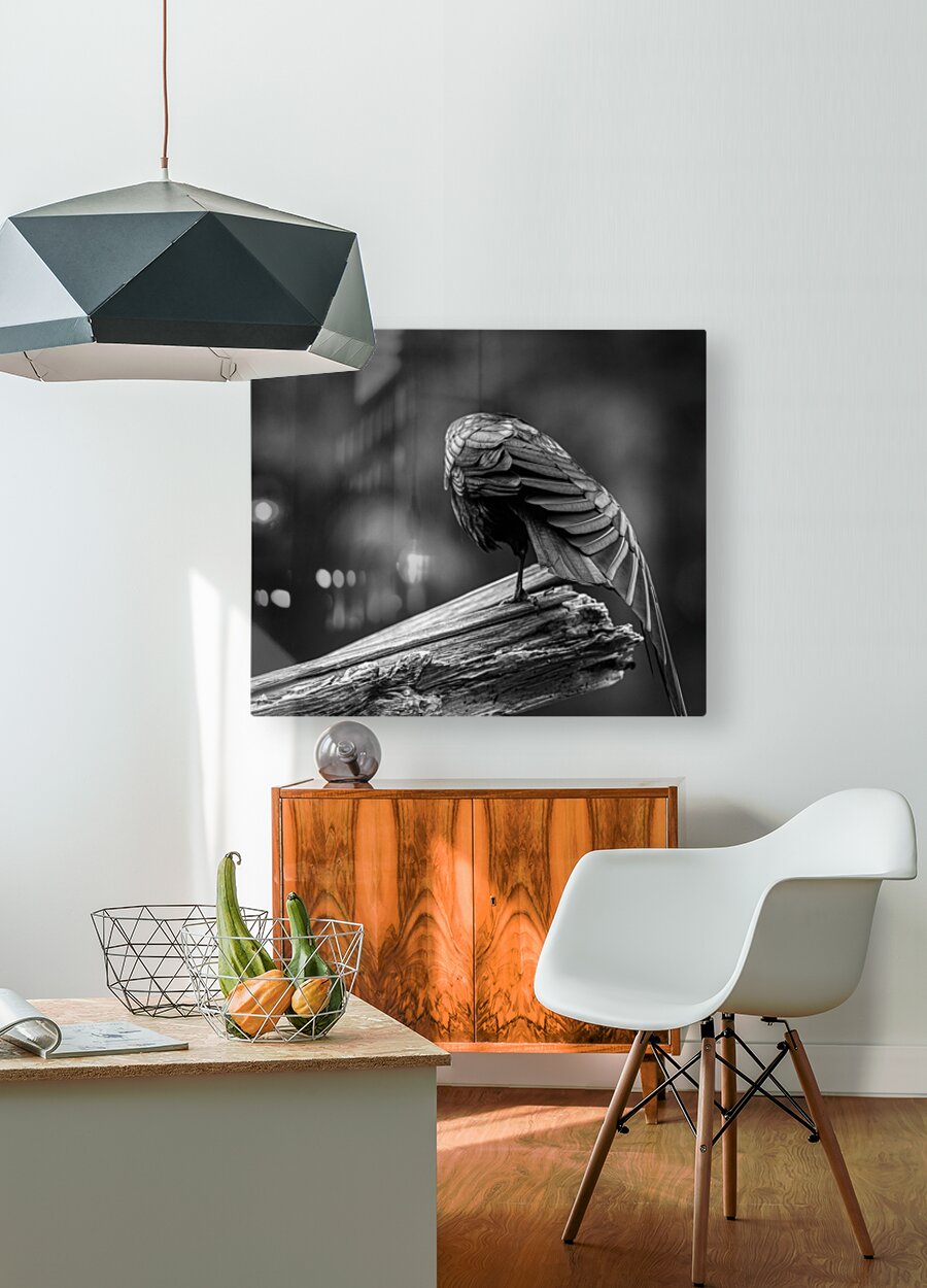 2162499 :: HD Sublimation Metal Print