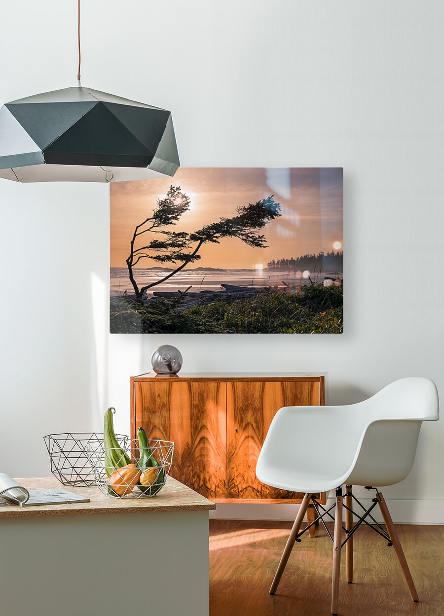 2162530 :: HD Sublimation Metal Print