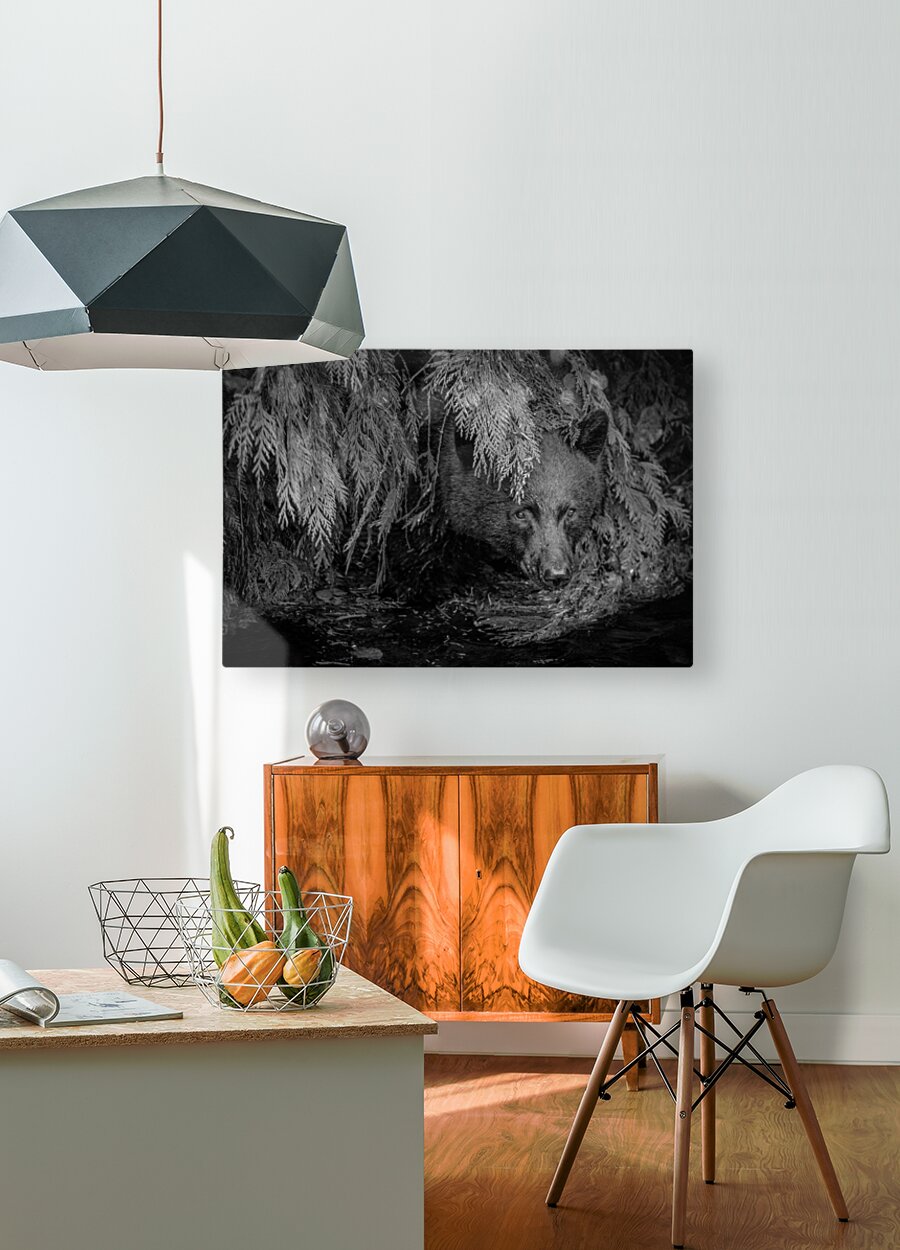 2308210 :: HD Sublimation Metal Print