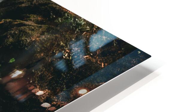 1927011 :: HD Sublimation Metal Print