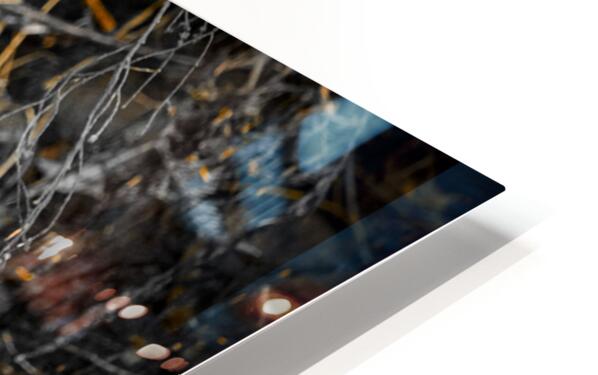 1927019 :: HD Sublimation Metal Print