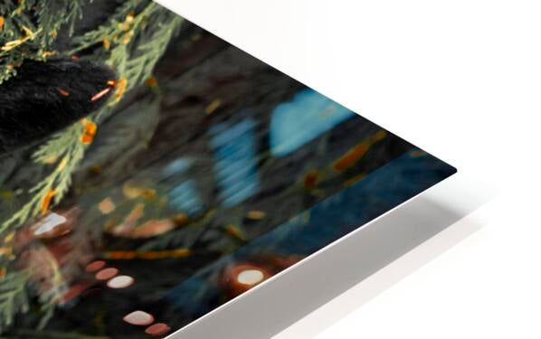 2162496 :: HD Sublimation Metal Print