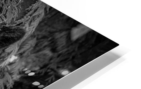 2308210 :: HD Sublimation Metal Print