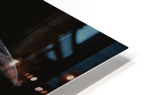 2460568 :: HD Sublimation Metal Print