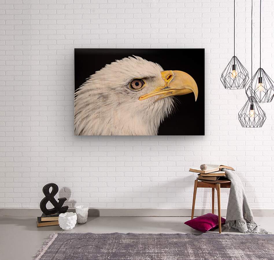 1926991 :: Wood Print