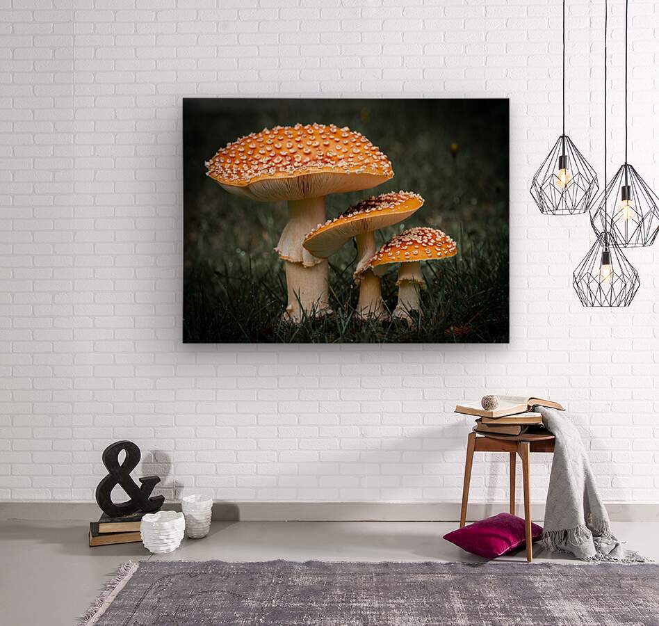 1927319 :: Wood Print