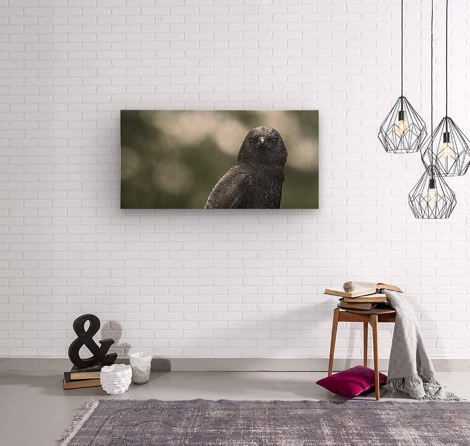 1927323 :: Wood Print