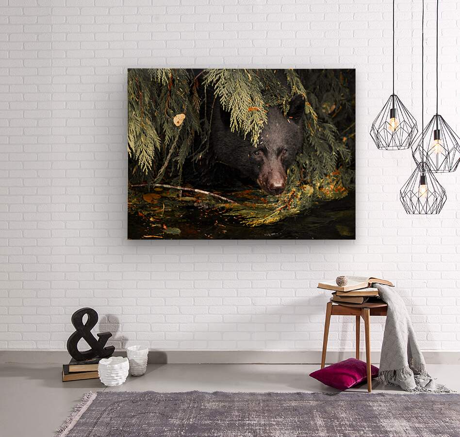 2162496 :: Wood Print