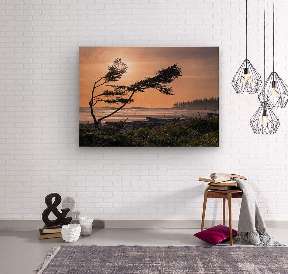 2162530 :: Wood Print