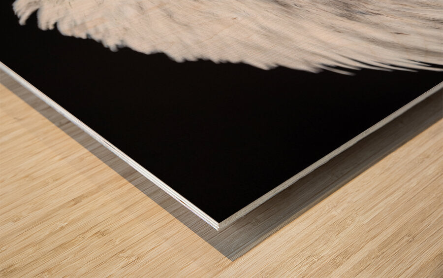 1926991 :: Wood Print