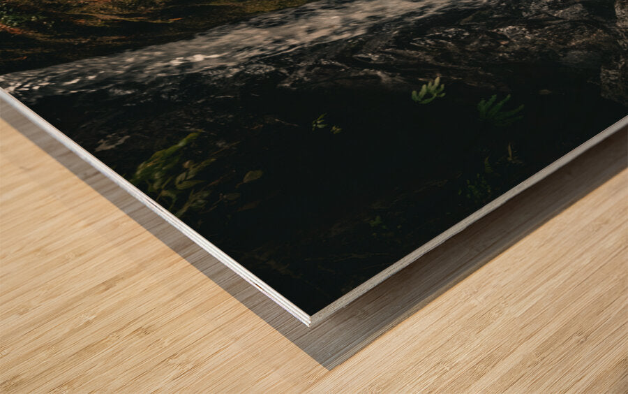 1927011 :: Wood Print