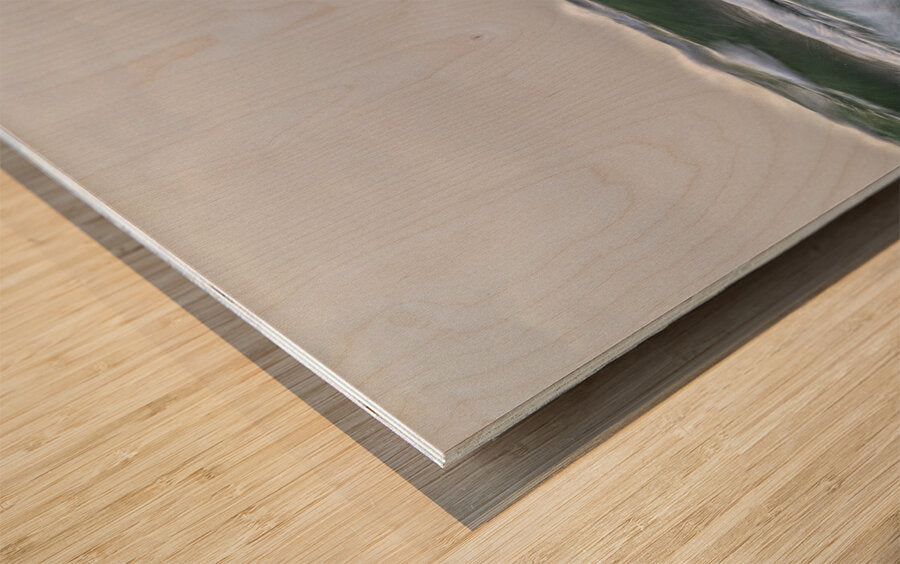 1927316 :: Wood Print