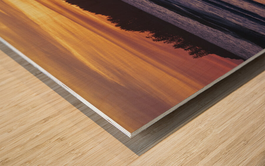 1927317 :: Wood Print