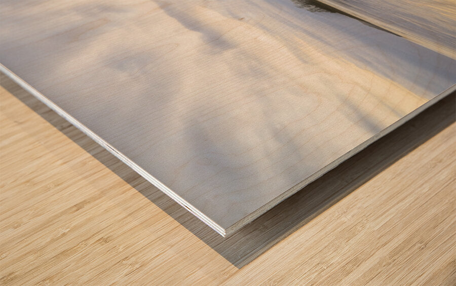 1927318 :: Wood Print