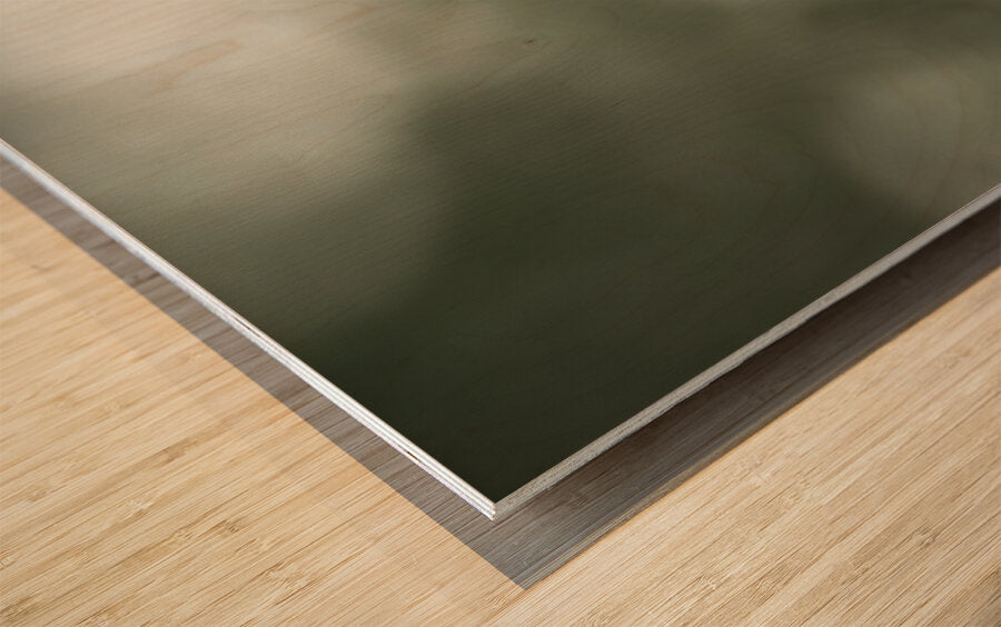 1927323 :: Wood Print