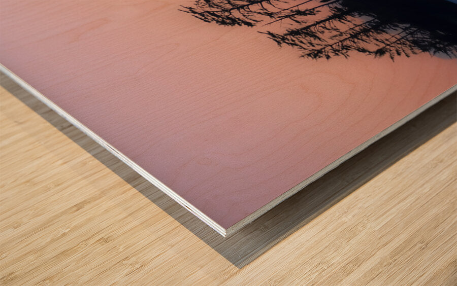 1928605 :: Wood Print