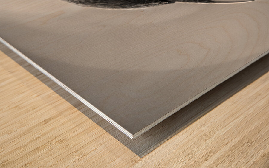 2162485 :: Wood Print