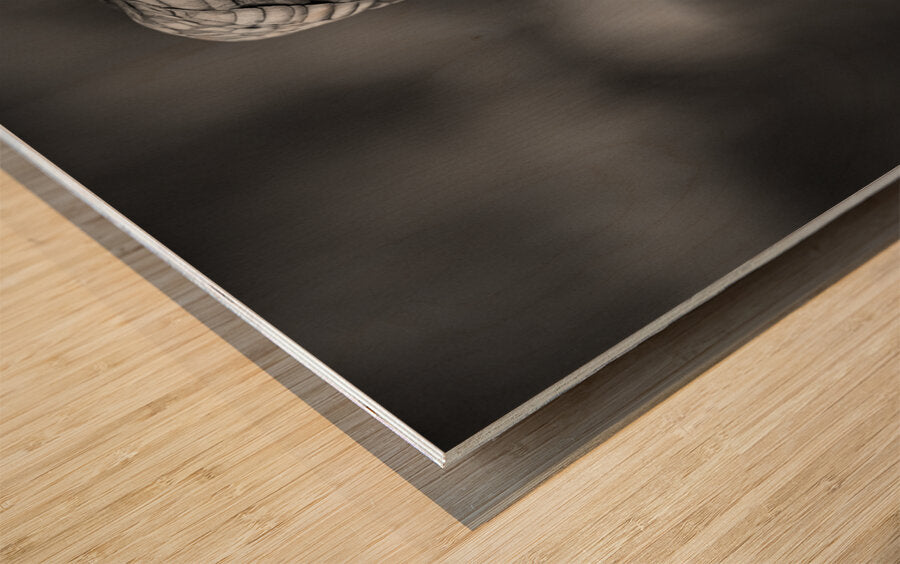 2162492 :: Wood Print