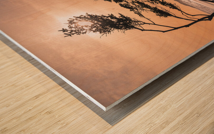 2162530 :: Wood Print