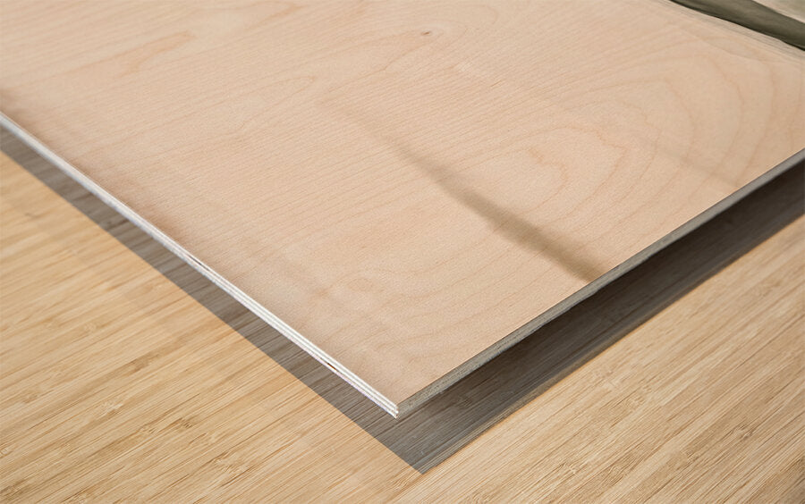 2162576 :: Wood Print