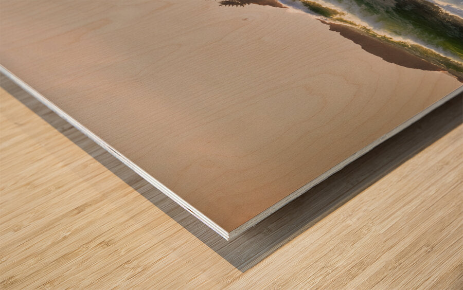 2162582 :: Wood Print