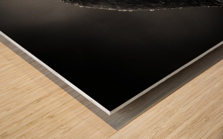 2226309 :: Wood Print