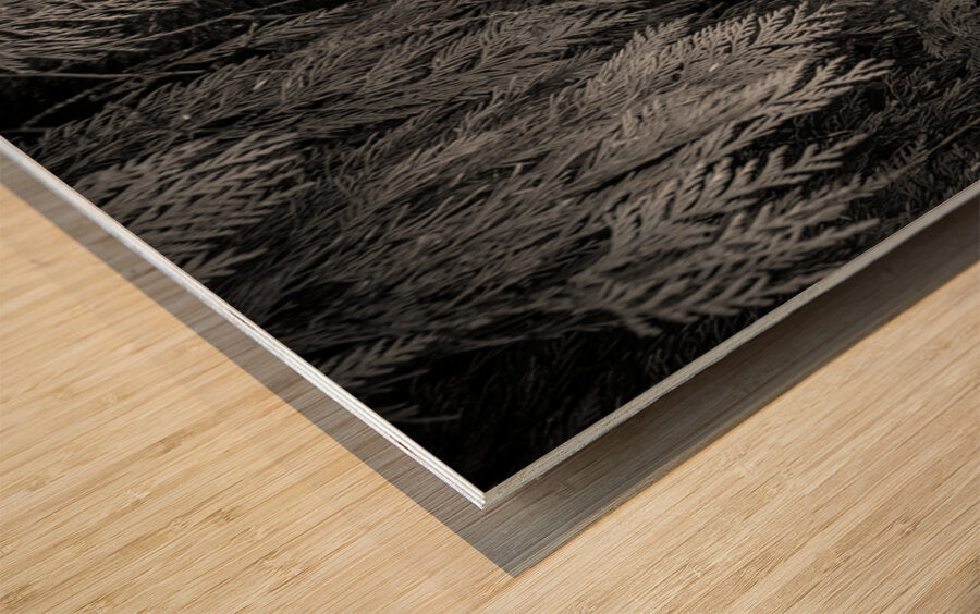 2308210 :: Wood Print