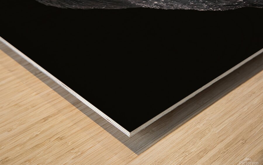 2460568 :: Wood Print