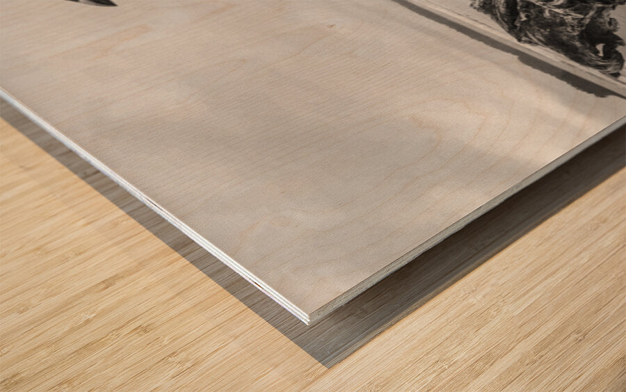 2496601 :: Wood Print