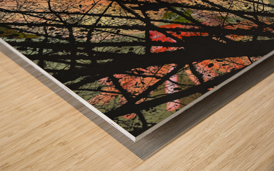 2496673 :: Wood Print