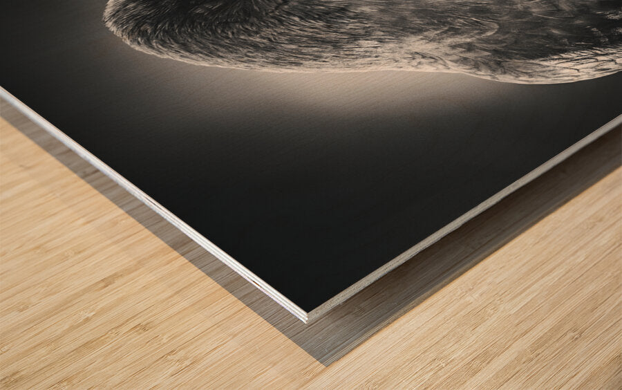 990882 :: Wood Print